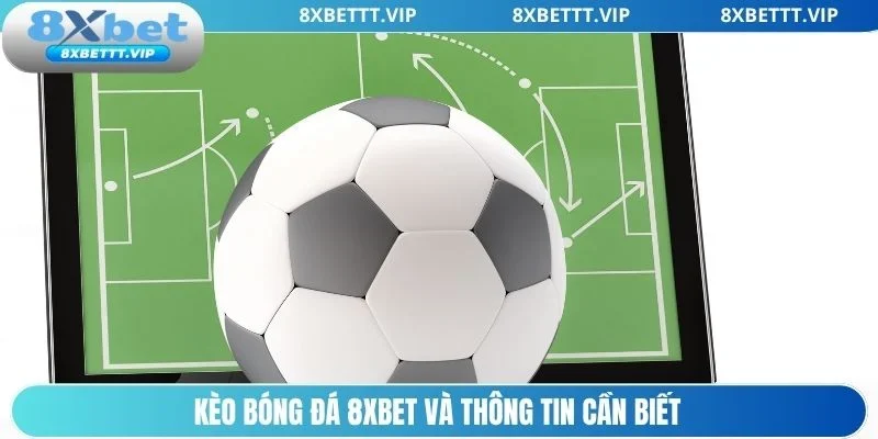 Kèo Bóng Đá 8XBET - Đa Dạng Lựa Chọn Cược Hấp Dẫn 2 Thông tin cơ bản về kèo bóng đá 8xbet