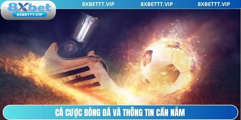 Kinh Nghiệm Cược Bóng Đá 8XBET - Các Bí Kíp Chuẩn Từ Cao Thủ 2 Đôi điều cần nắm về cá cược bóng đá