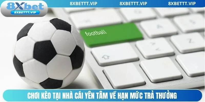 Tỷ Lệ Kèo 8XBET - Cập Nhật Chuẩn Tin Tức Nhanh, Chuẩn Xác 4 Nhà cái sở hữu hạn mức trả thưởng hấp dẫn
